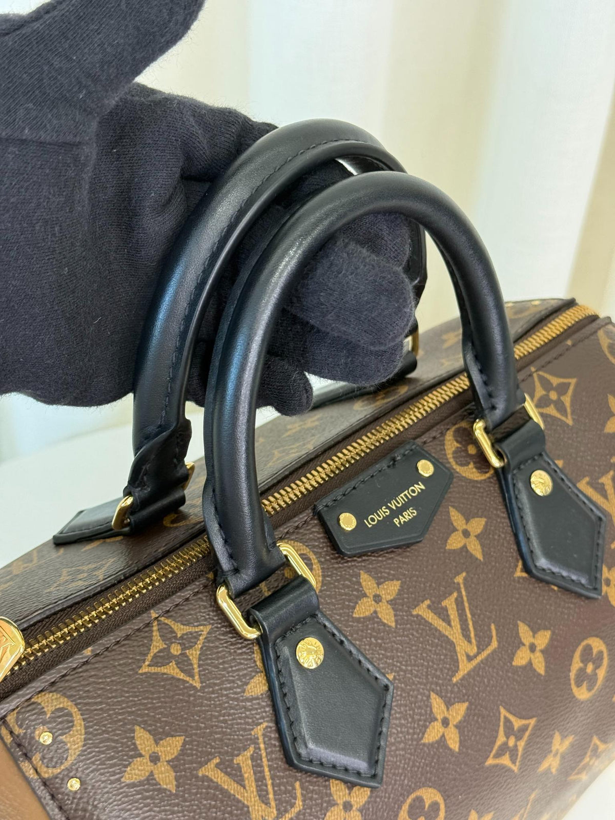 Louis Vuitton Speedy Trunk 25 Monogram Canvas