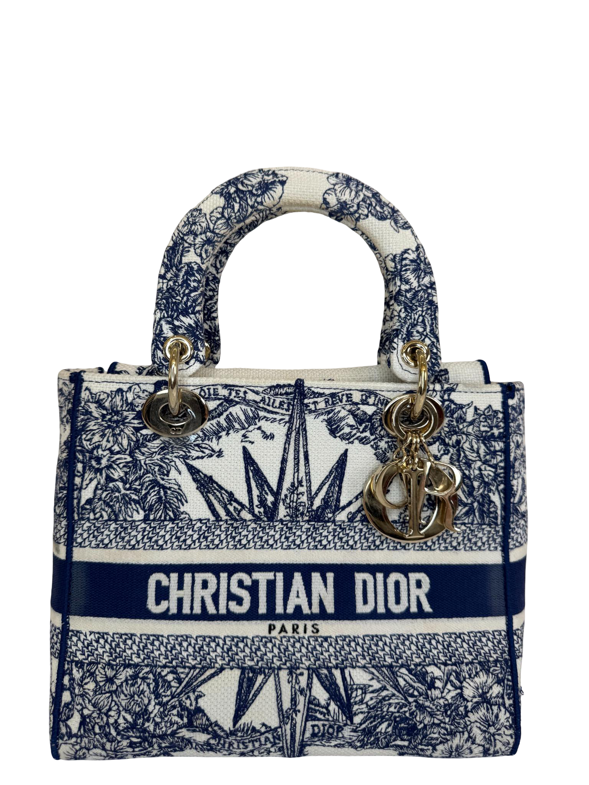 Christian Dior Medium Lady D-Lite Blue Rêve d'Infini Reverse Embroidered