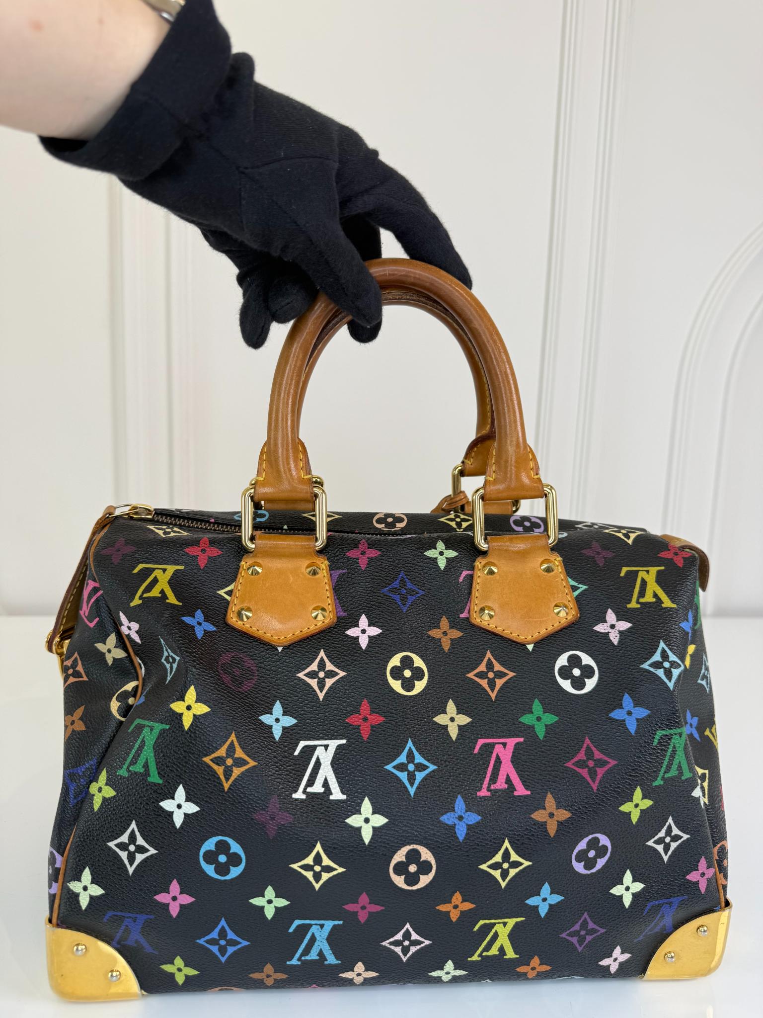 Louis Vuitton x Takashi Murakami Speedy 30 Black Monogram Multicolore