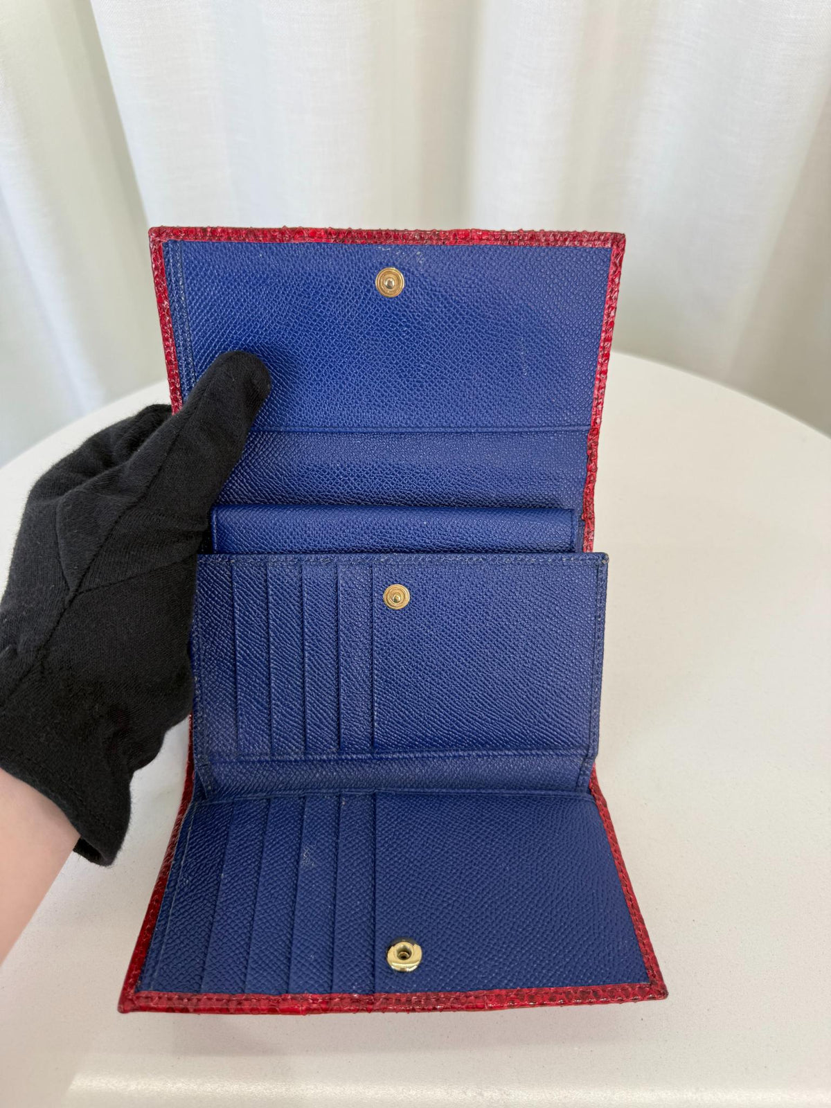 Dolce Gabbana Red Python Embossed Small Wallet