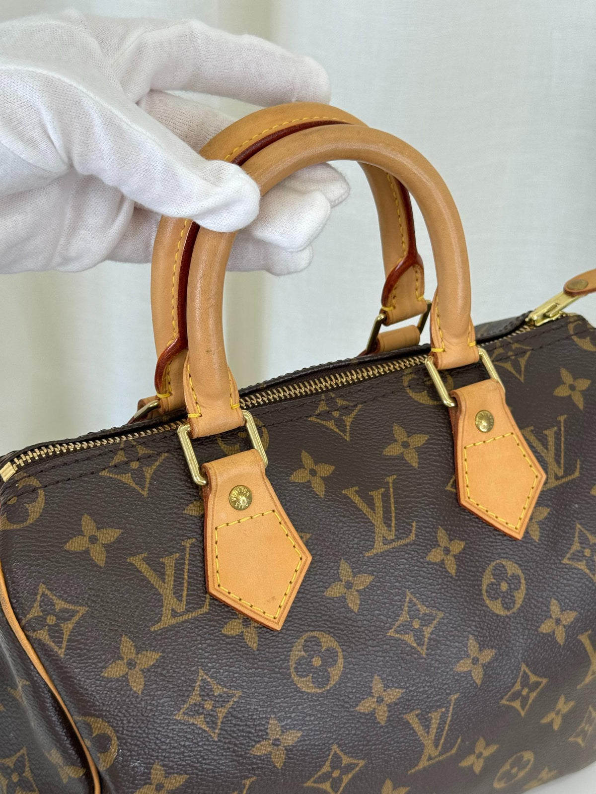 Louis Vuitton Speedy 25 Monogram Canvas