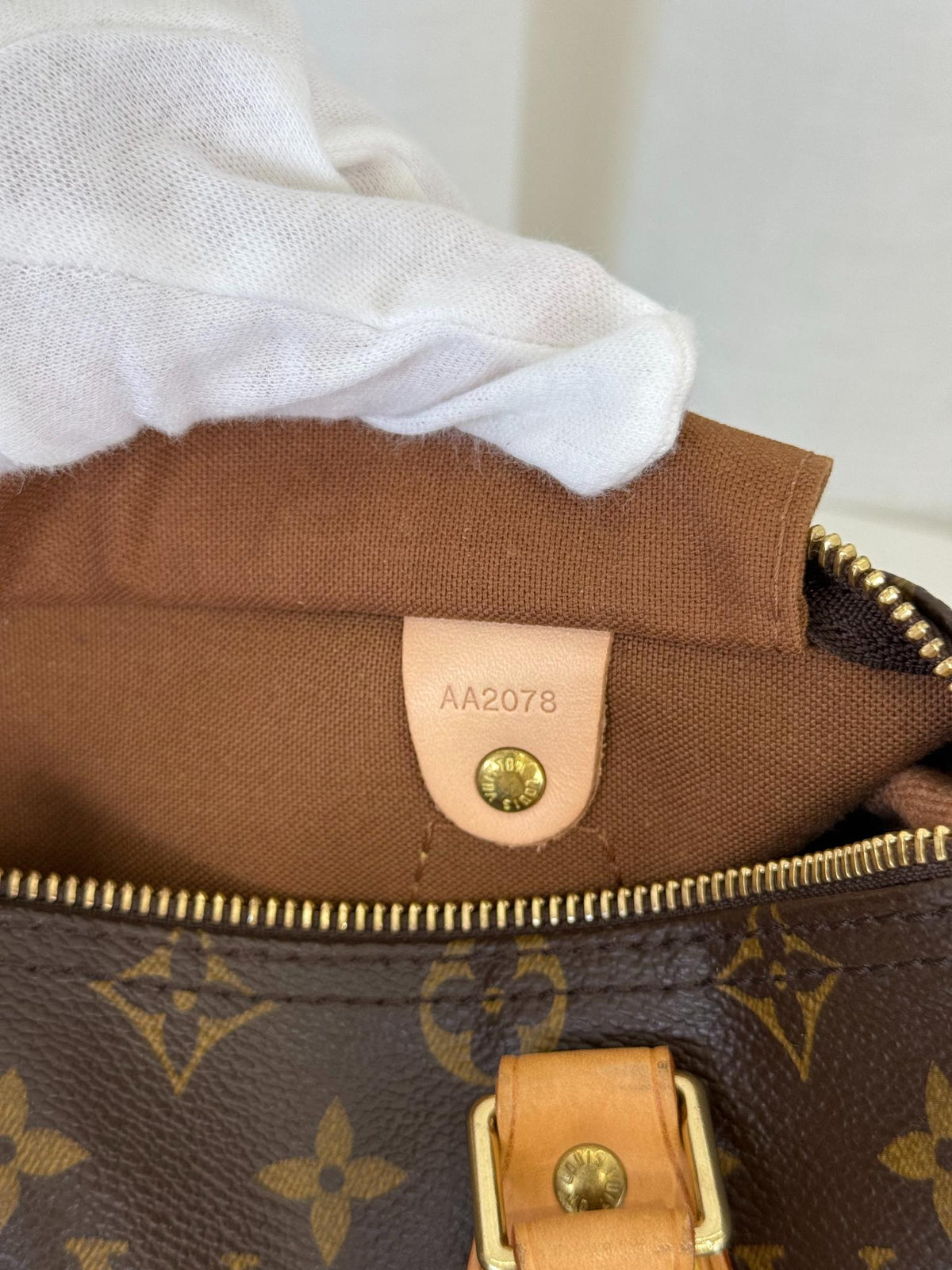 Louis Vuitton Speedy 25 Monogram Canvas