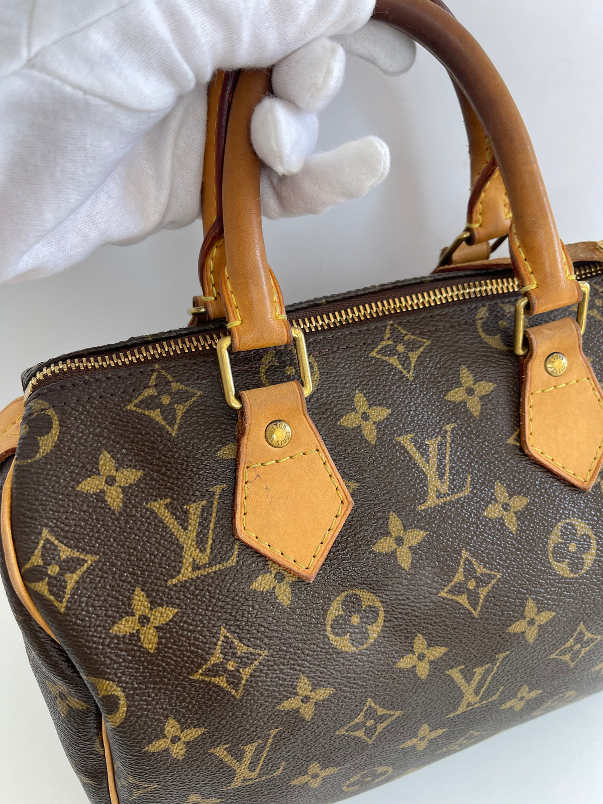 Louis Vuitton Speedy 25 Monogram Canvas Bag