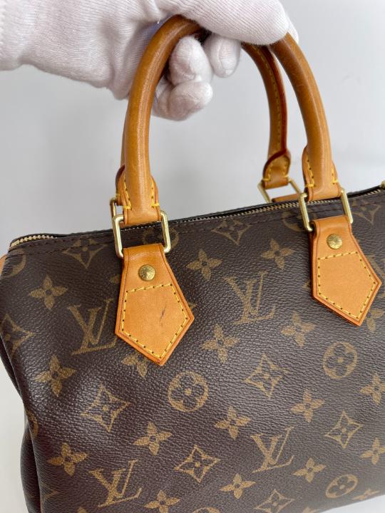 Louis Vuitton Speedy 25 Monogram Canvas
