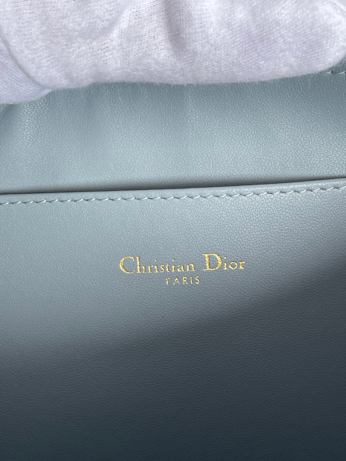 Dior Caro Daily Pouch in Cloud Blue calfskin