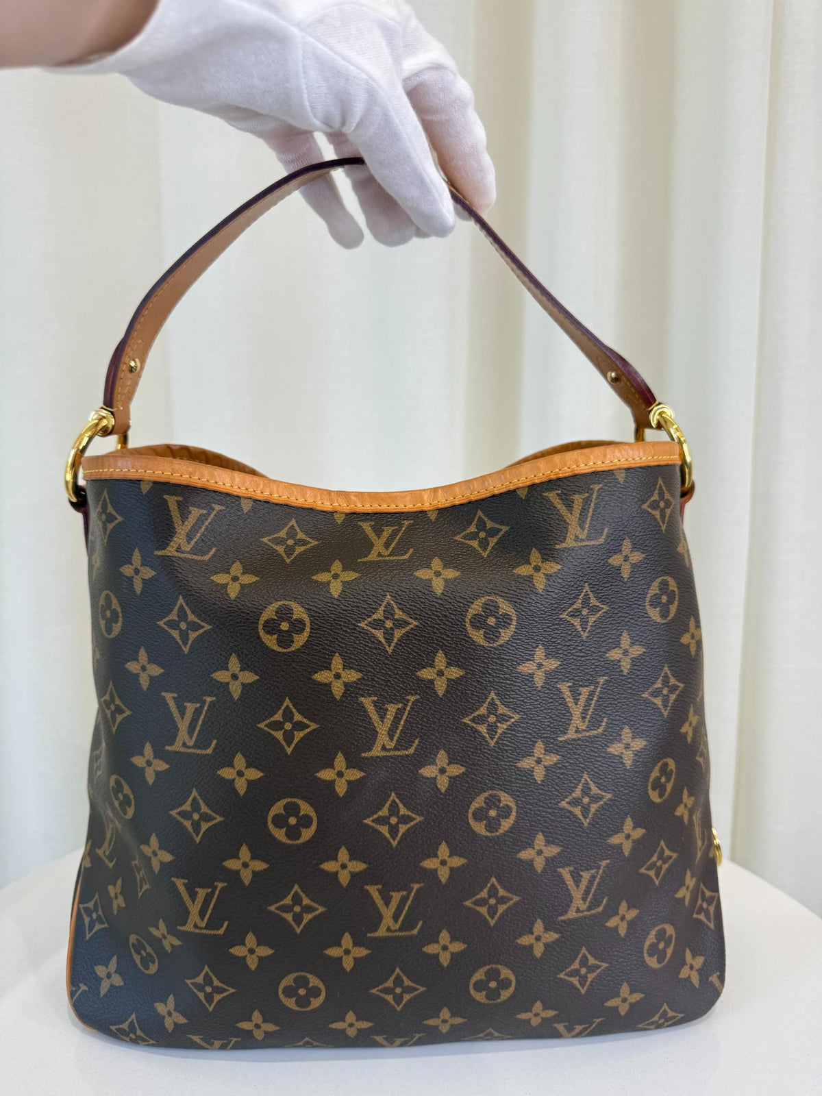Louis Vuitton Delightful PM Monogram Canvas