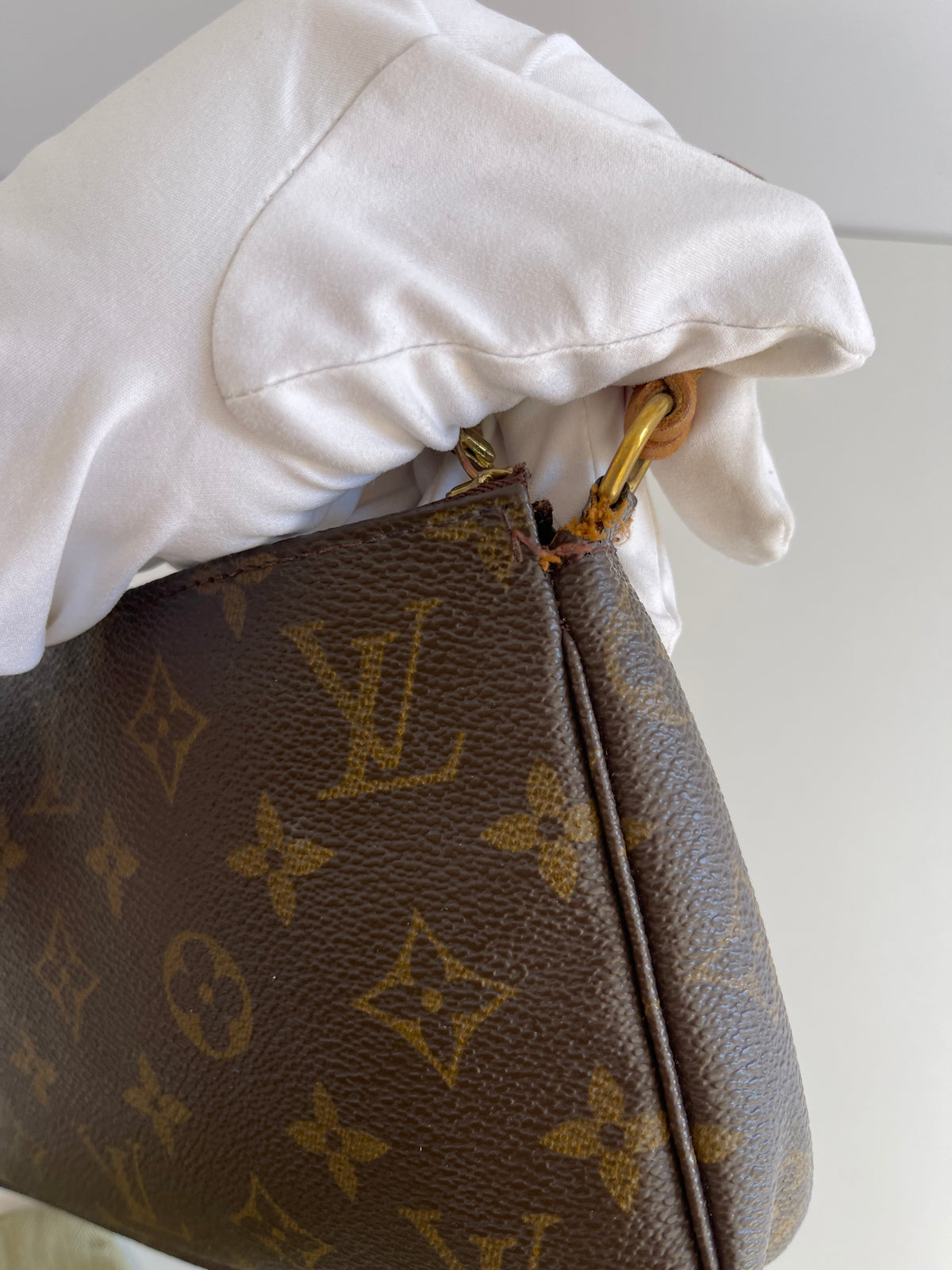 Louis Vuitton Pochette Accessoires Monogram Canvas