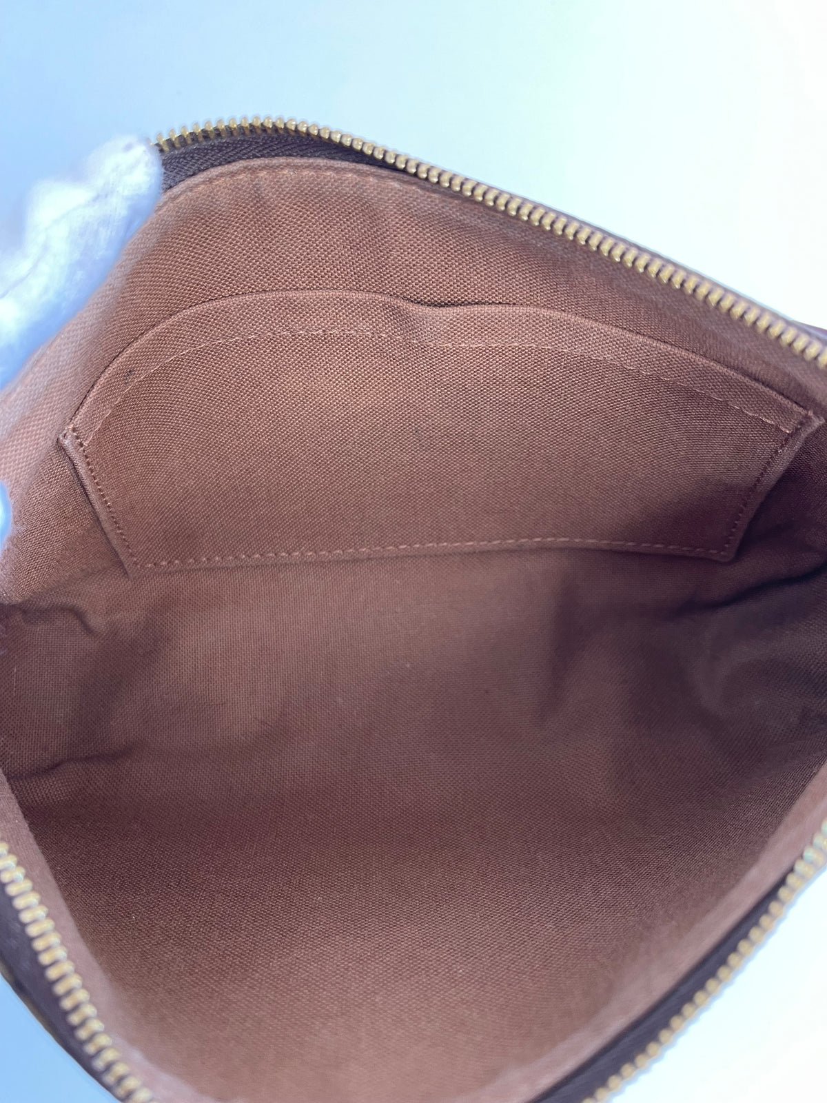 Louis Vuitton Pochette Accessoires Monogram Canvas