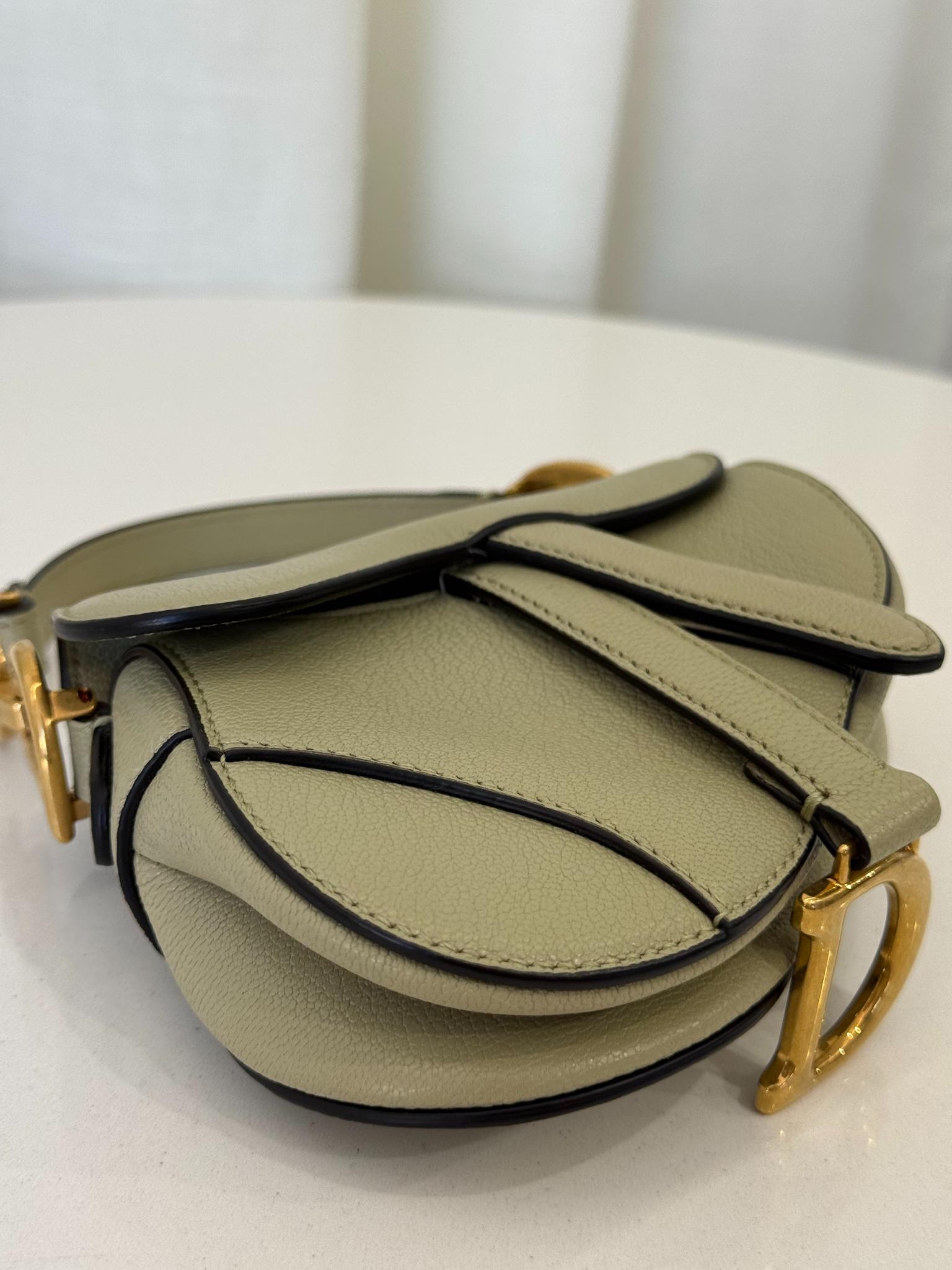 Christian Dior Grained Calfskin Micro Saddle Sage Green