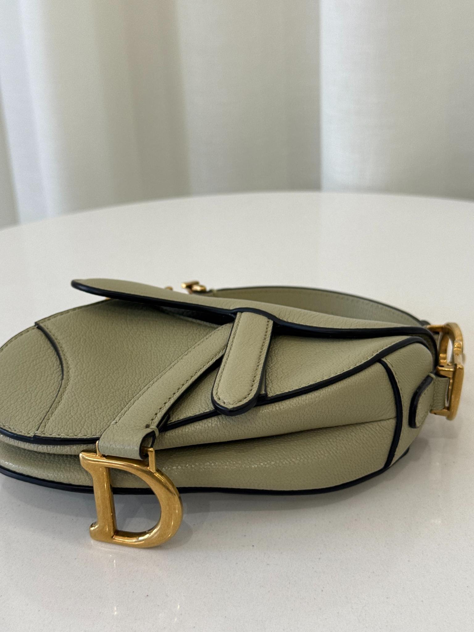 Christian Dior Grained Calfskin Micro Saddle Sage Green