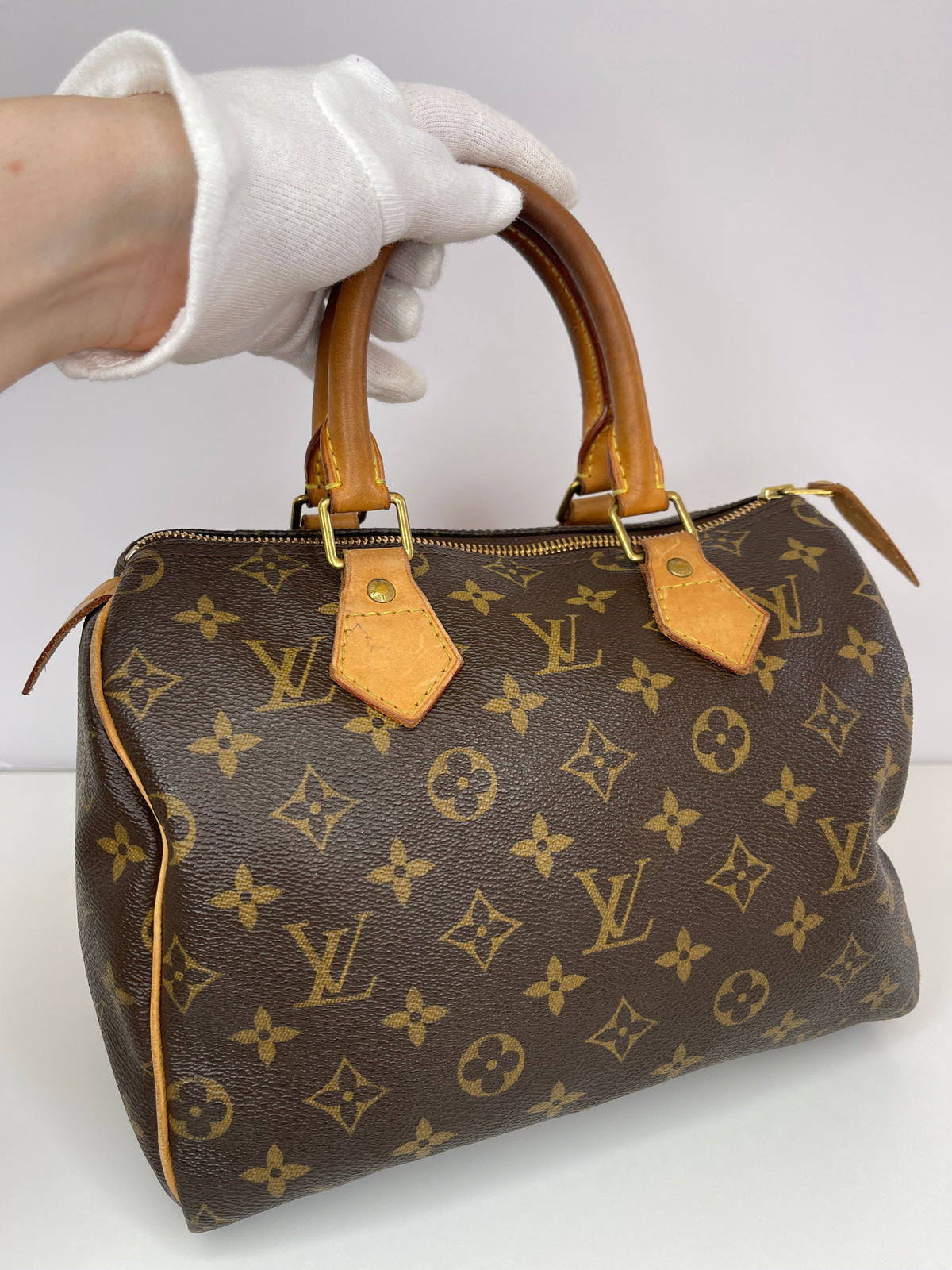 Louis Vuitton Speedy 25 Monogram Canvas