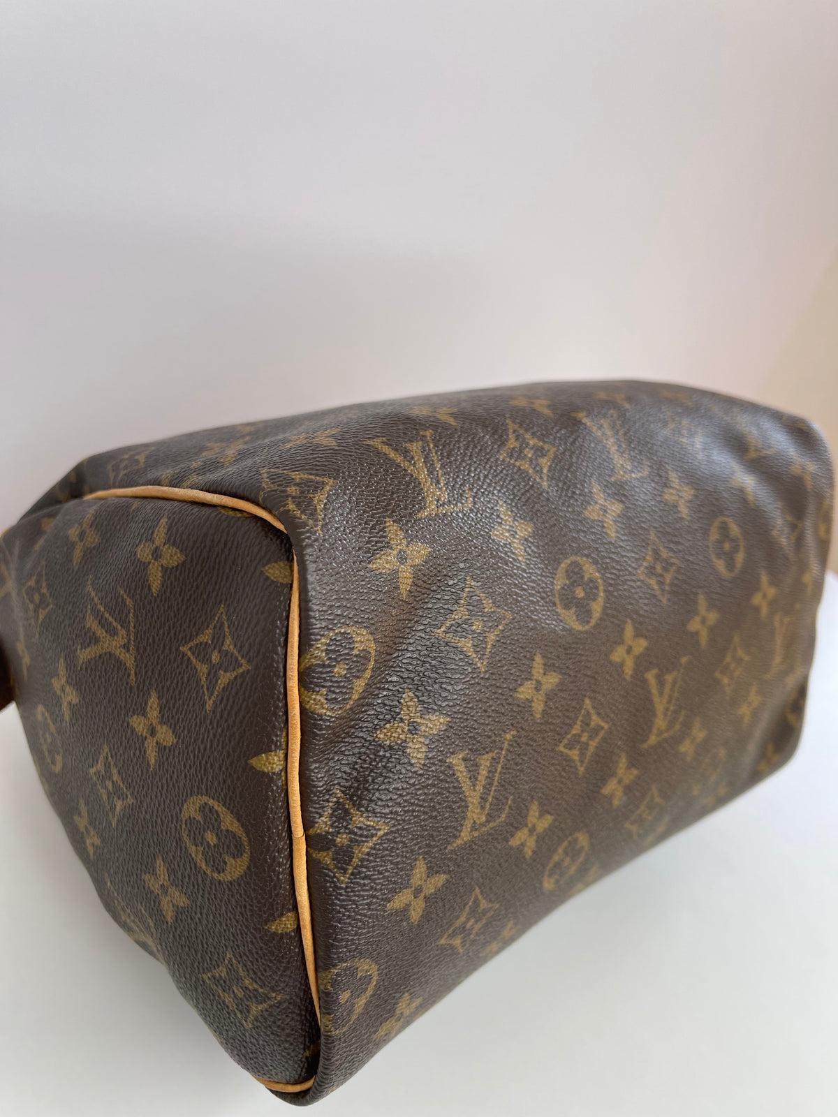 Louis Vuitton Speedy 25 Monogram Canvas