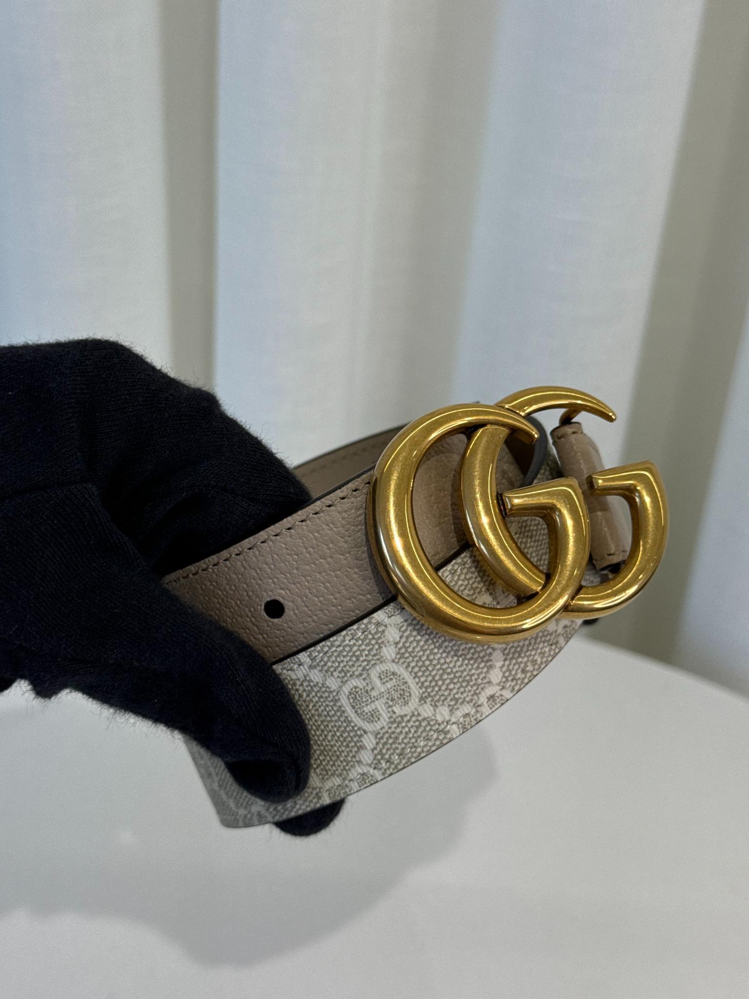Gucci GG Marmont Beige/White Supreme Coated Canvas Belt