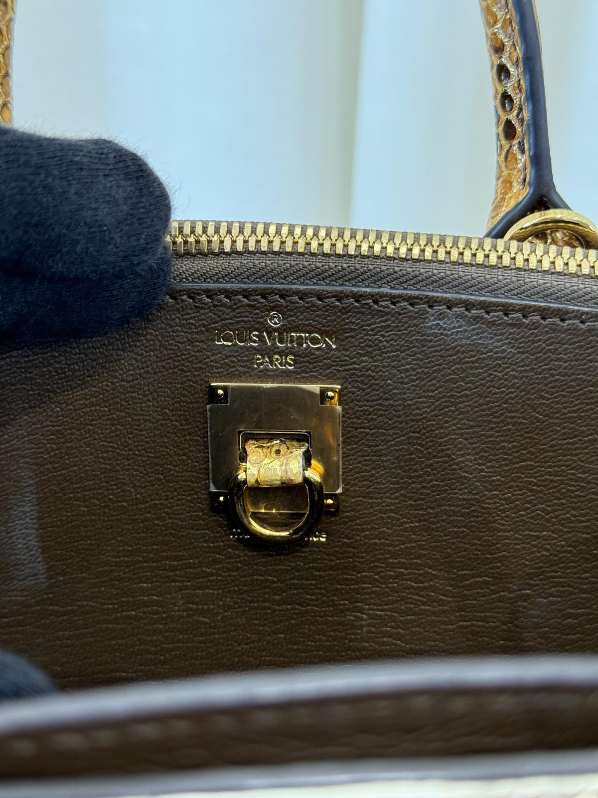 Louis Vuitton Limited Edition Gold Python City Steamer PM Bag